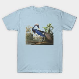 Audubons Louisiana Heron T-Shirt